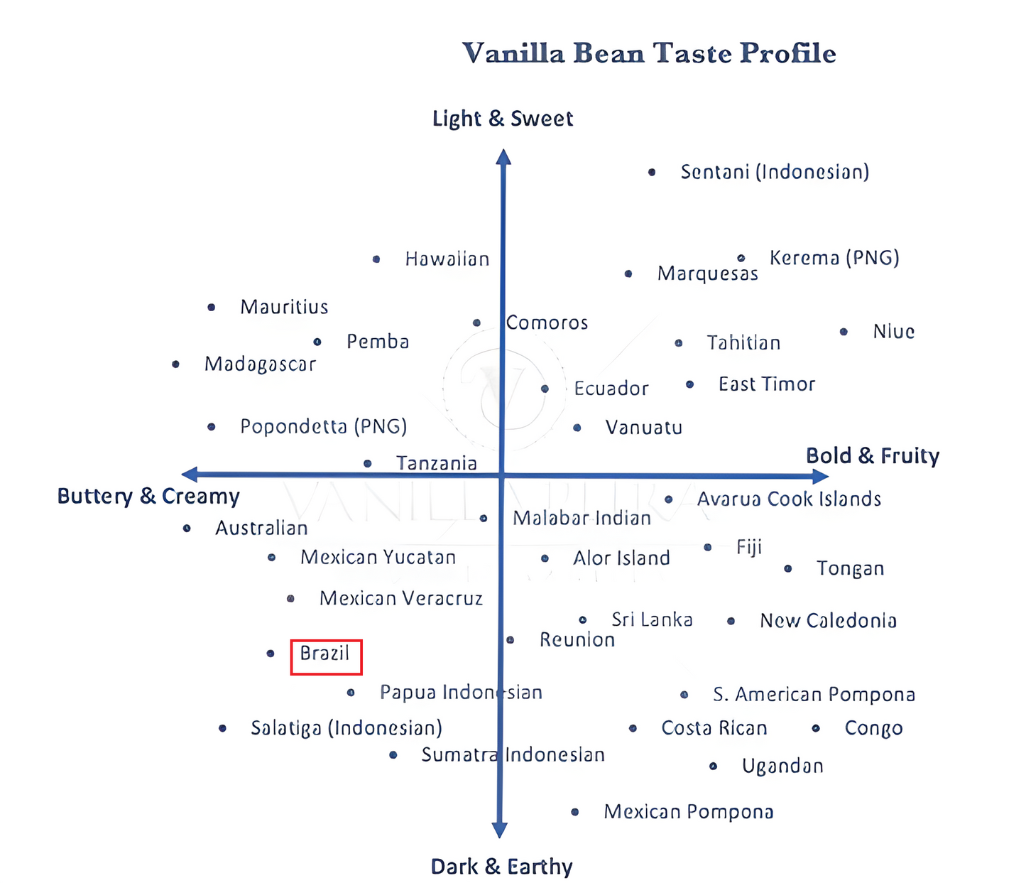 [WITH BEANS] Pure All-Natural BRAZILIAN Single-Origin Vanilla Extract