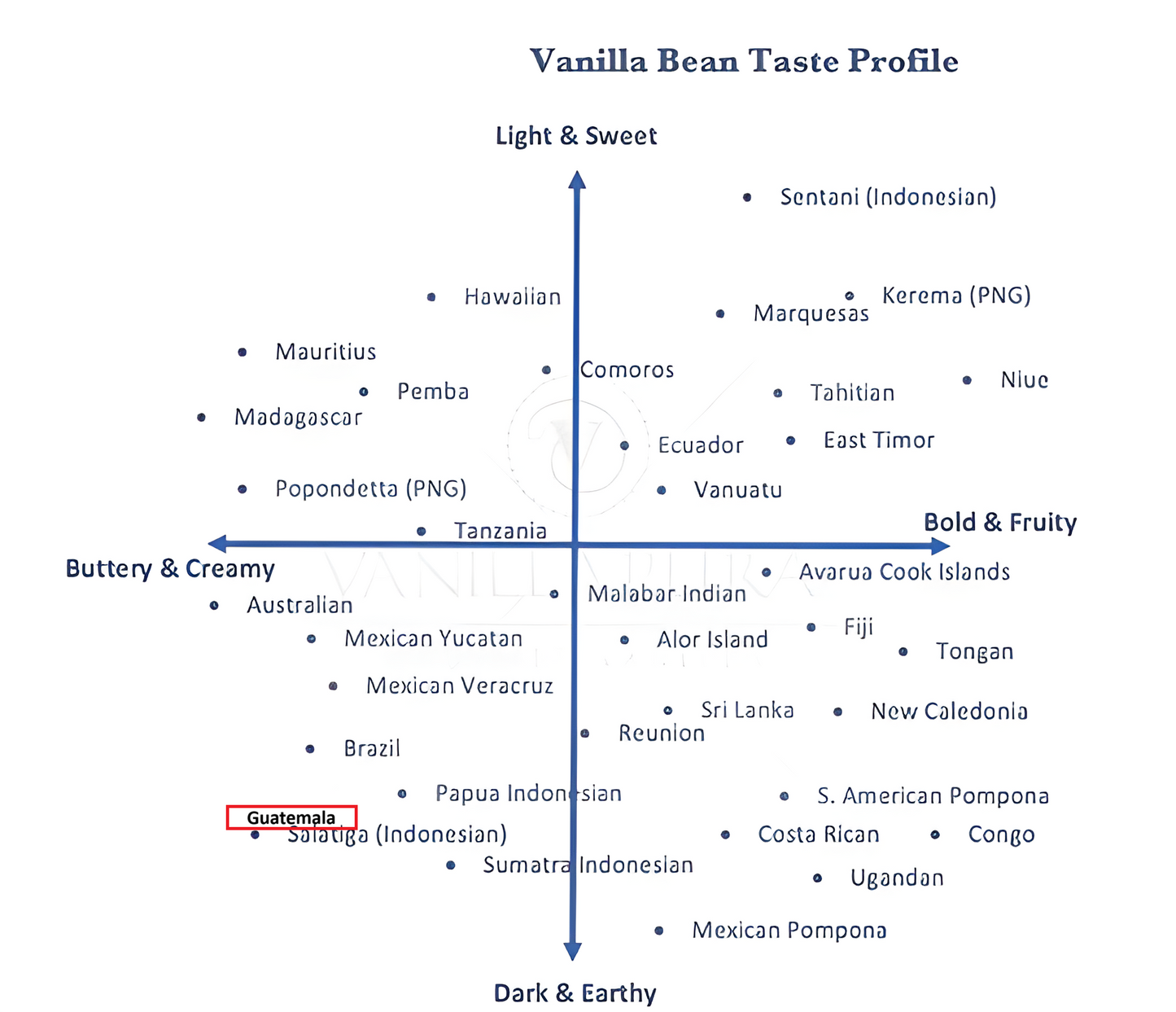 [WITH BEANS] Pure All-Natural Rare GUATEMALAN Single-Origin Vanilla Extract