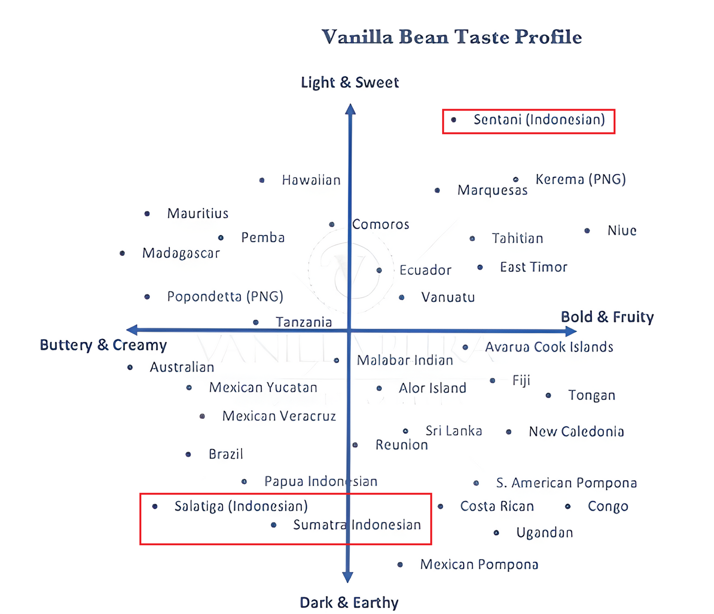 [WITH BEANS] Pure All-Natural INDONESIAN Single-Origin Vanilla Extract