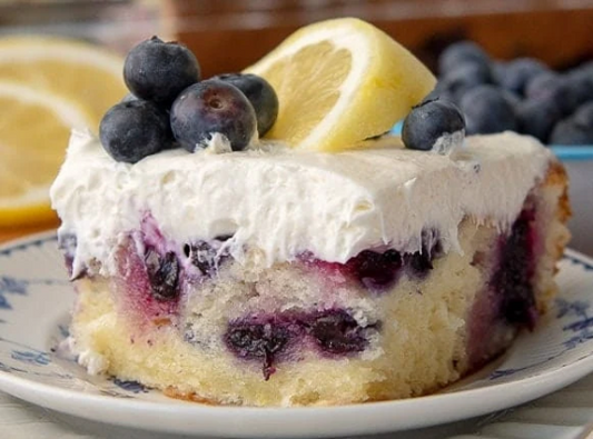 Whole Lemon Blueberry Cake (READ DESCRIPTION)