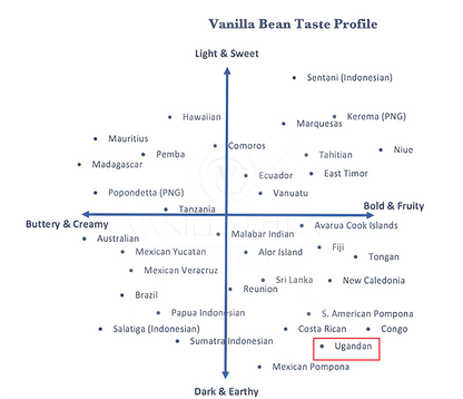 [WITH BEANS] Pure All-Natural UGANDAN Single-Origin Vanilla Extract